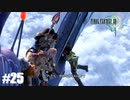 掟破りの地元(パルス)奔りッ!!【F13】#25