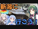 【1080p対応】東北ずん子のもっとドタバタ釣行記 新潟で私と魚釣りしませんか？