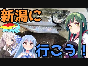 【1080p対応】東北ずん子のもっとドタバタ釣行記 新潟で私と魚釣りしませんか？