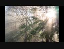 オリジナル曲／EwigSein
