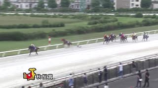 第14回秋桜賞 サラーブ