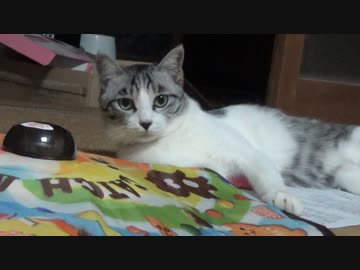 遊び方を完全に間違ってるアルフィノ　＃188