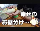 秋の夜長に見る動画・後編