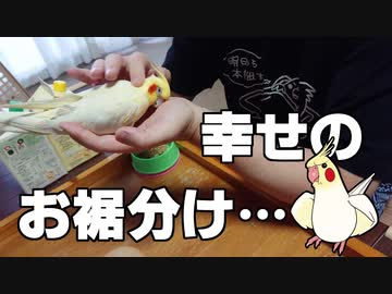 秋の夜長に見る動画・後編
