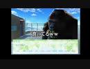 【女性向け？】ゴリラが主人公の乙女ゲームを実況 part3(終) ～さようならゴリ美～【ゴリラ・ごりら・GORILLA】