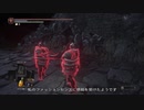 普通の闇霊2