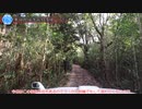 [愛知険道276号]ゆっくりジムニー険道めぐり！その110