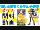 【仰天のボルテッカー】推しの為に有言実行した動画【ポケカ】