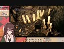 クズ底の八重沢なとり（ダークソウル2）