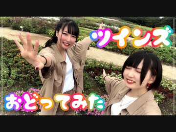 【こはあい】ツインズ 踊ってみた【Honeyworks】