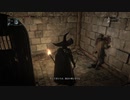 『Bloodborne』を76ミリは知ってる俺が実況プレイ【DLC】
