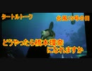 どうやったら橋本環奈になれますか【タートルトーク】東京ディズニーシー