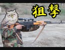 【ゆっくり実況】if好きのまったりFEH part201 蒼炎ガチャと10凸ボーナス総選挙エーデルガルトで飛空城