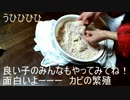 玄米乳酸菌で玄米麹作り