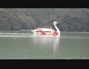 相模湖の遊覧船