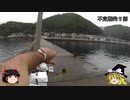 (ゆっくり実況)不定期釣り部part９【海釣り編３】
