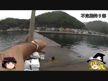 (ゆっくり実況)不定期釣り部part９【海釣り編３】