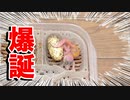 【予定よりかなり早い】レオパの赤ちゃんが産まれました【すごく元気】