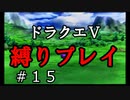 【アルカリ性】26周目だし、縛りプレイで楽しもう！【ドラクエ5シーズン1 Part15】