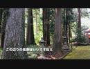 岩国市錦町 宇佐郷　平安末期勧請 宇佐八幡宮と宇佐の大杉群(県 天然記念物）令和二年訪問