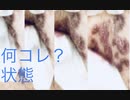 202009192207■suffered after darkskin TV/Showbiz coming(also in vogue at Tokyo after African visiting