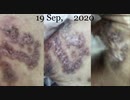202009192210■suffered after darkskin TV/Showbiz coming(also in vogue at Tokyo after African visiting