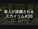 【素人が蹂躙されるスカイリム】実況プレイ_part38
