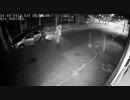 男は車のトランクから外され、路上で処刑される