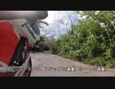 cbr400rr(nc29)栃木県太平山ひだまりツーリングpart1(1/3)