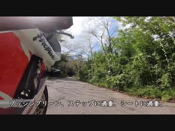 cbr400rr(nc29)栃木県太平山ひだまりツーリングpart1(1/3)