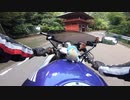cbr400rr(nc29)栃木県太平山ひだまりツーリングpart2(2/3)