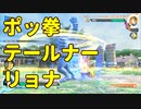 ポッ拳テールナーリョナ3　ソフトリョナＶＳカイリキー【ポッ拳 POKKÉN TOURNAMENT DX】