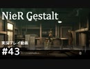 【NieR Gestalt】こんにちは狂気【part43】