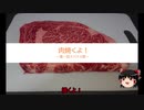 【第一回スパイス祭】肉焼くよ！【ゆっくり】