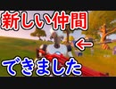 【フォトナ】新しい仲間ができました！ ソロでビクロイ目指す！【フォートナイト/Fortnite】