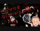 【実況】このマリオ、なにかがおかしい【mario.exe】