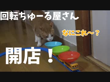 回転ちゅーる屋さん開店！