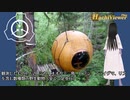 SCP-709 - 森の瞳
