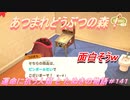 【あつ森】前人未島へようこそ！#141【あつまれどうぶつの森】