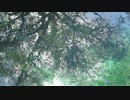 CORRIDOR OF WIND / MUSIC CUBE