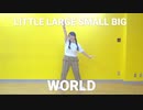 【yu-na*】LITTLE LARGE SMALL BIG WORLD 踊ってみた【オリジナル振付】