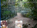 二次創作が幻想入り_11の２