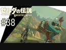 【ゼルダの伝説ブレスオブザワイルド＃38】ふわふわモフモフ魅惑のリト族【はるの積みゲー崩し】