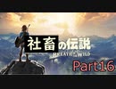 ゼルダの伝説 ブレス オブ ザ ワールド 初見実況プレイ #16