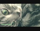 笑って、笑って、笑って【KAITO】【ねこの毛づくろい】【優雅みっくす】