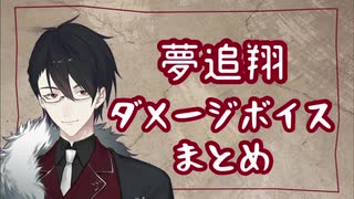 【夢追翔】ダメージボイス＆叫び声まとめ【にじさんじ】