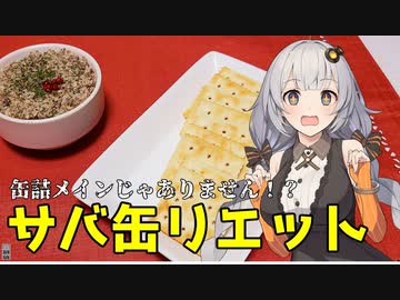 メインはスパイスですから！サバ缶リエット