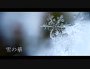 雪の華 / 中島美嘉【VOCALOID5 KAORI カバー 歌詞付き】