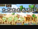 【初実況】MapleStoryをノープランでのんびりプレイ　part46