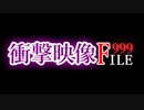 【衝撃映像】FILE-999 総集編その１